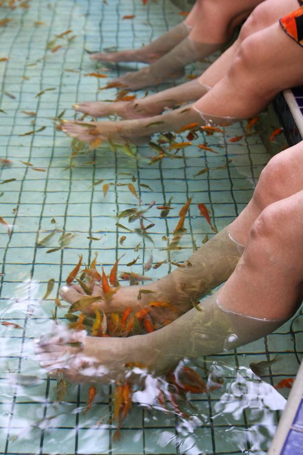 Jenq Yang Hotspring Hotel เหรินอ้าย ภายนอก รูปภาพ